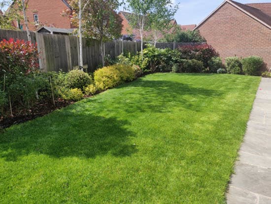 Professional Bedford garden cleaning service with leaf removal and hedge trimming