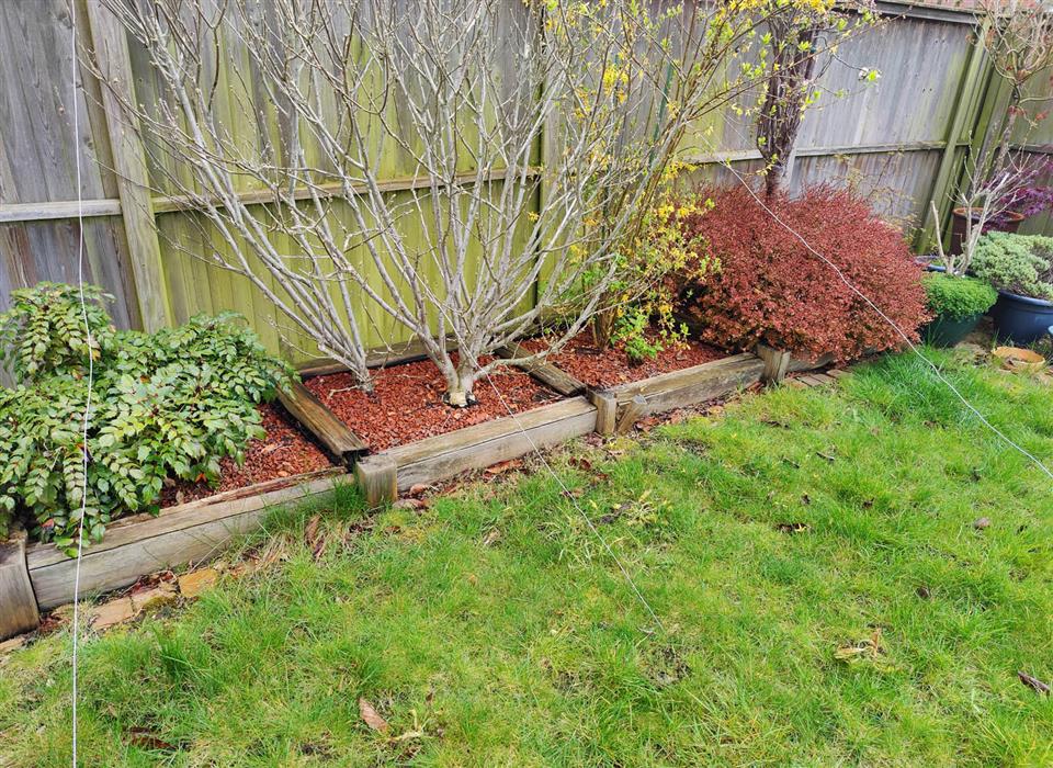 Raised Flower Bed: using bullnose bricks